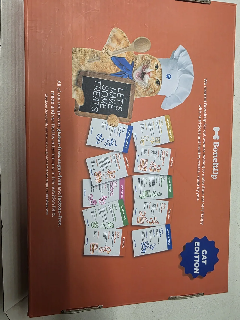 Cat Edition Treat Box in Orange & Blue